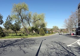 Delgado: «El Consejo Consultivo no puede generar indefensión jurídica a todos los toledanos»