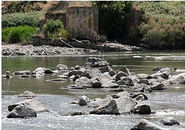 Mientras Page se planta, Tolón defiende el «cambio de actitud total» del Gobierno de España en defensa del Tajo