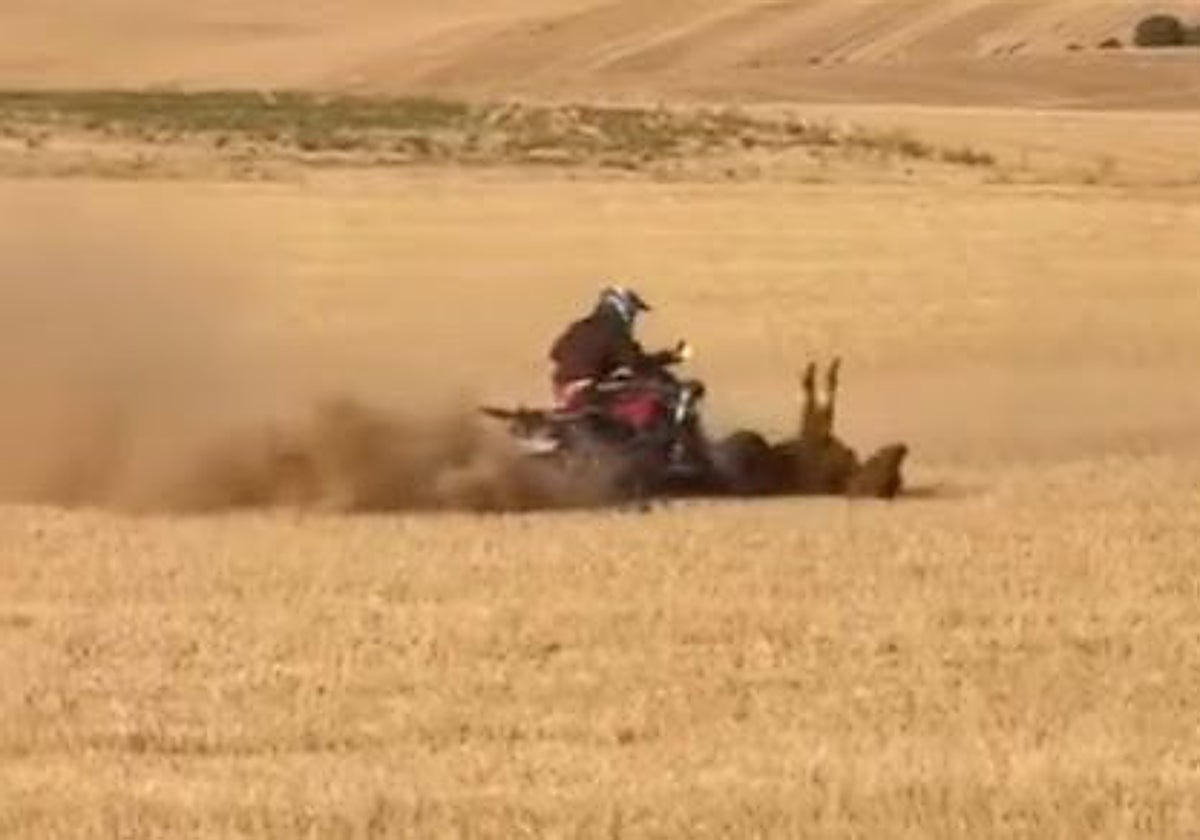 Momento en el que es atropellada la vaquilla durante el encierro