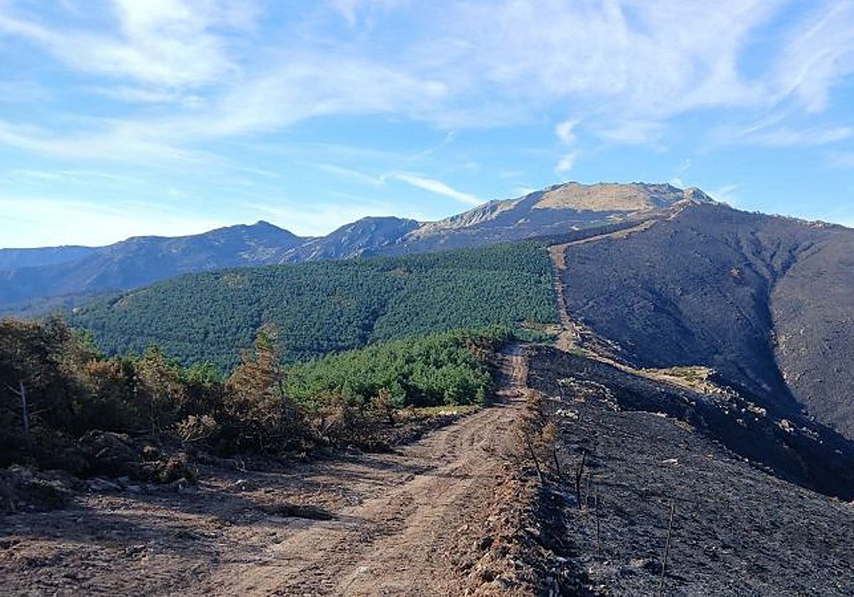Imagen de la superficie quemada