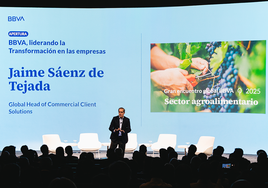 falsa publicidad bbva