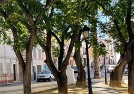 La niña de cuatro años que sufrió un intento de abuso sexual en Lucena, y sus dos hermanos menores, bajo la tutela de la Junta