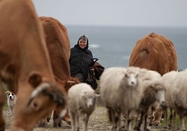 La mitad de los jefes de negocios agrarios tienen más de 65 años