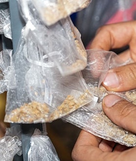 Imagen secundaria 2 - Un centinela palentino para semillas y sabores