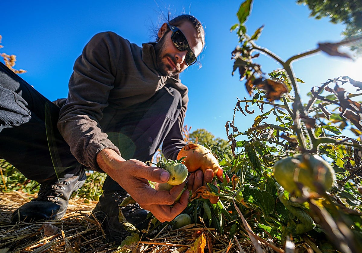 Un centinela palentino para semillas y sabores