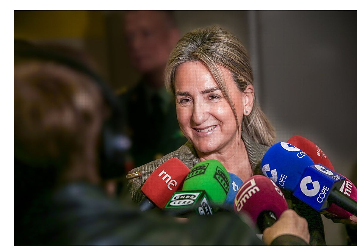 Milagros Tolón, delegada del Gobierno en Castilla-La Mancha