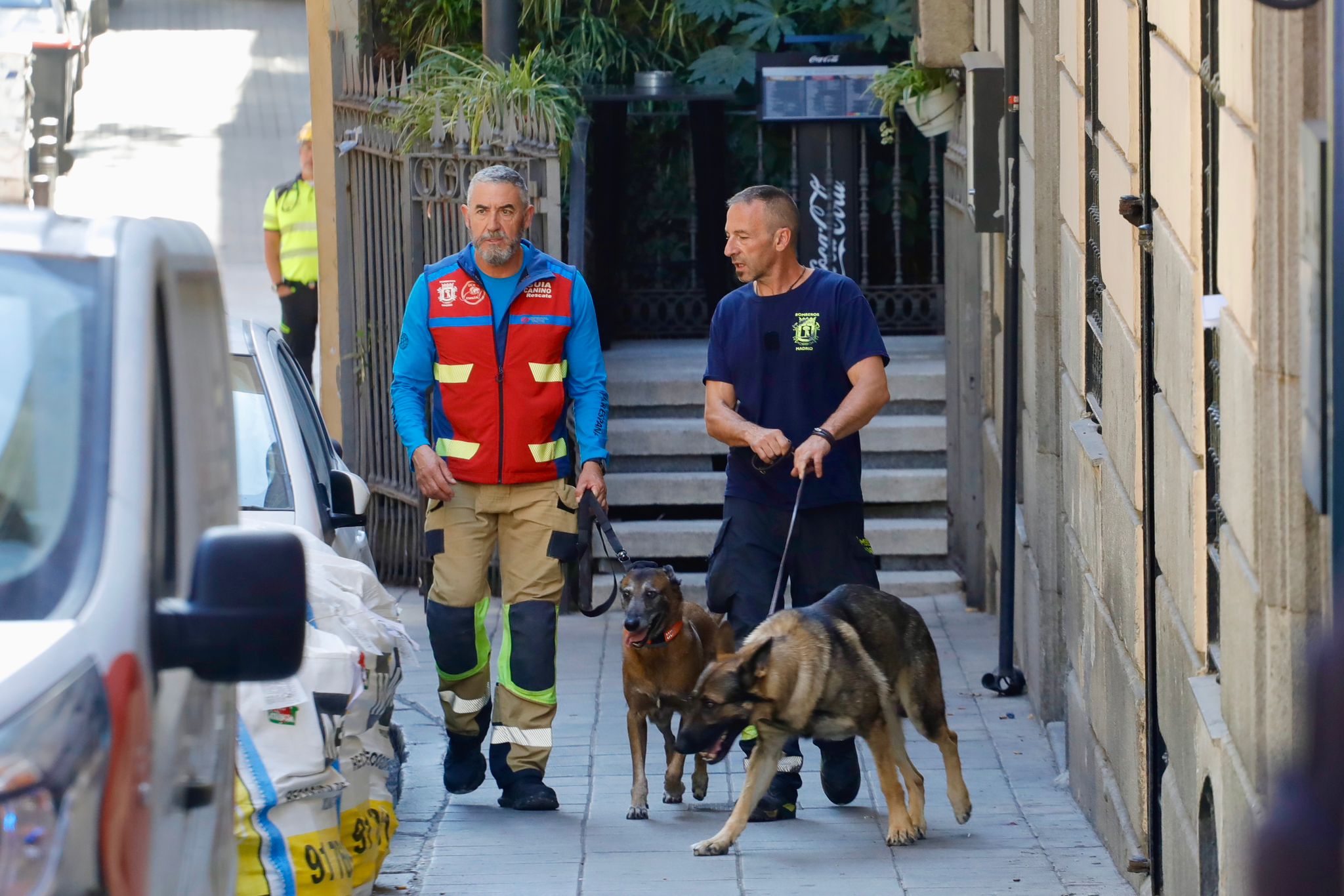 Unidad canina de rescate del Cuerpo de Bomberos