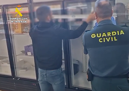 Una macroperación internacional contra el fraude alimentario destapa toneladas de bananas vendidas como plátanos de Canarias