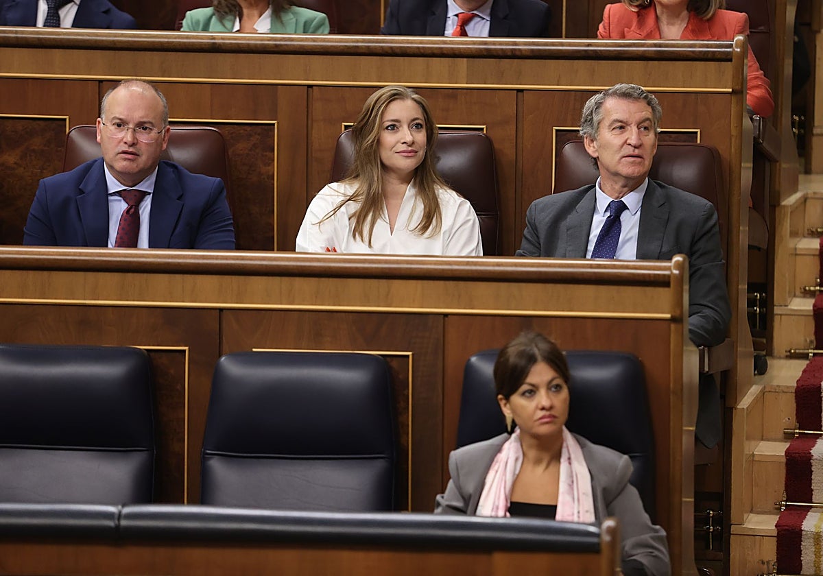 Imagen de la bancada del PP en un momento del pleno de este miércoles