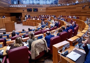Las Cortes piden el «cese» de la ministra de Igualdad por los «fallos» en las pulseras antimaltrato