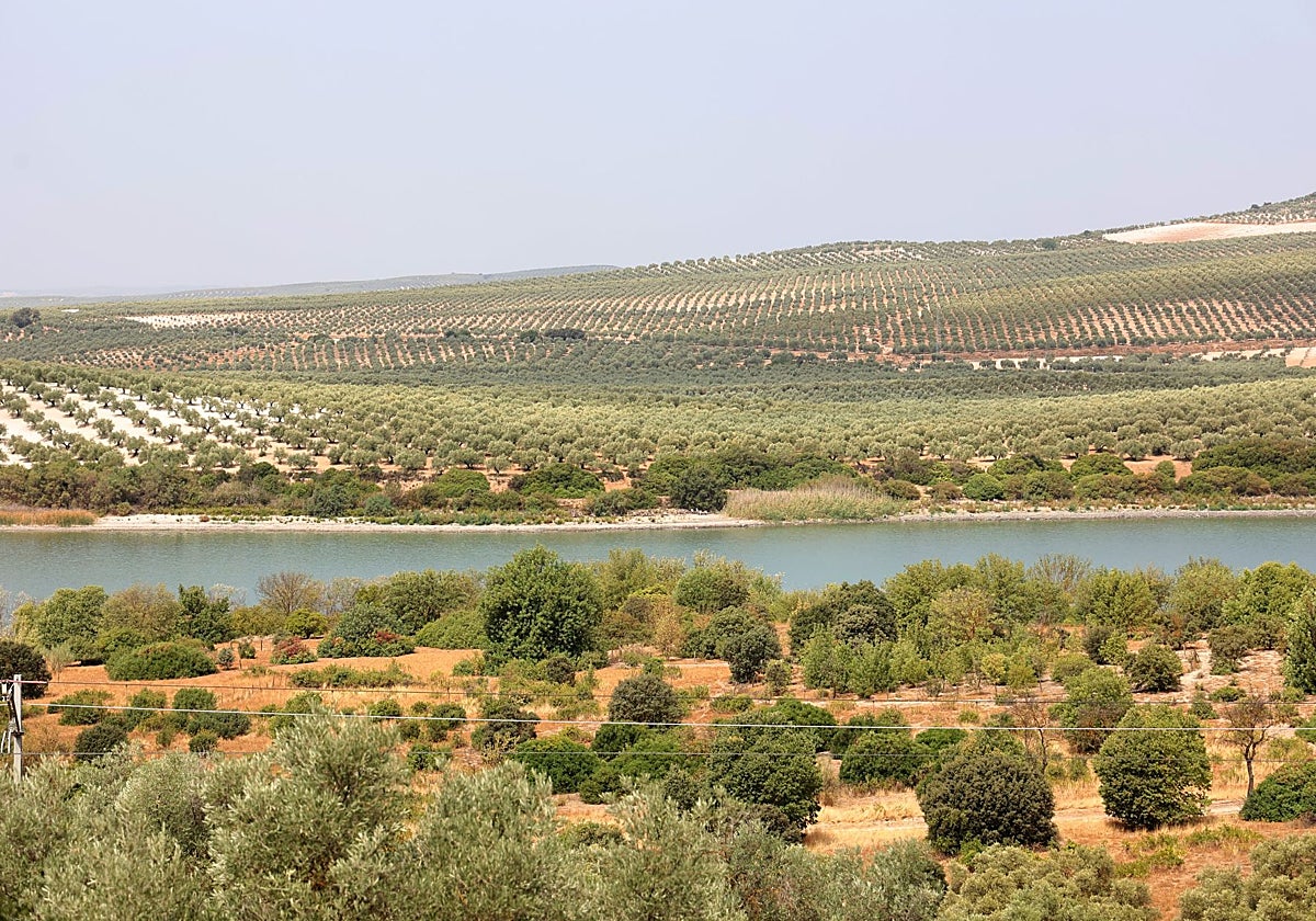 Laguna de Zóñar, en la Campiña Sur de Córdoba