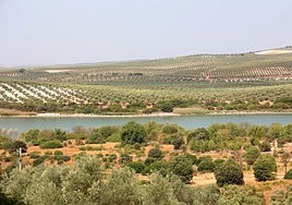 La Junta impulsa nuevos planes de mejora en las lagunas del Sur de la provincia de Córdoba
