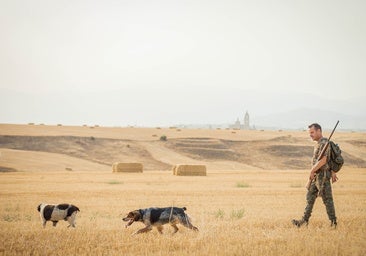 Abierta la temporada de caza mayor que se prolongará hasta febrero de 2026