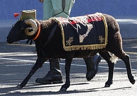 Madrid en el desfile: aplausos al Rey, abucheos a Sánchez y la atracción del macho legionario Baraka