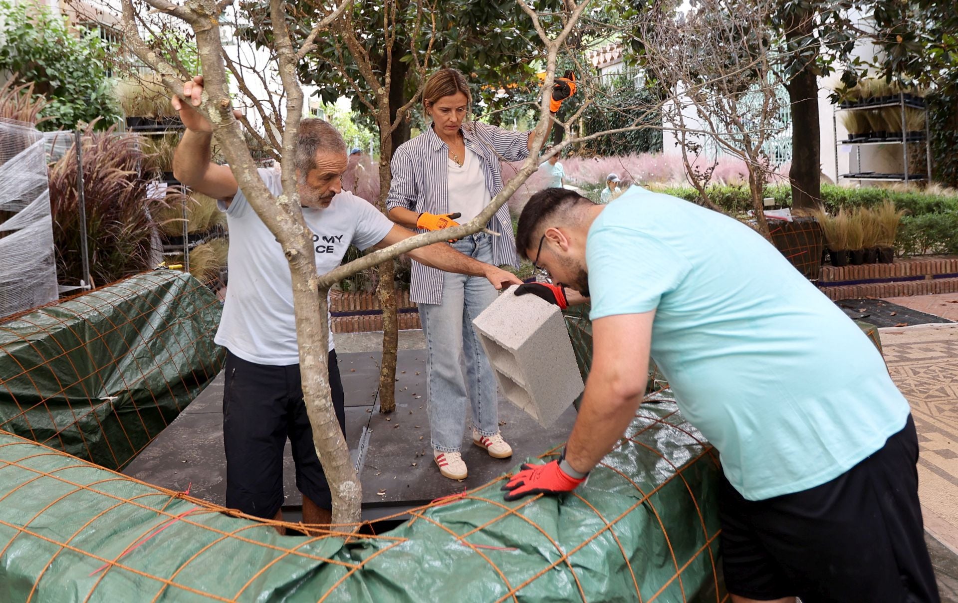 El arranque del montaje de Flora 2025, en imágenes