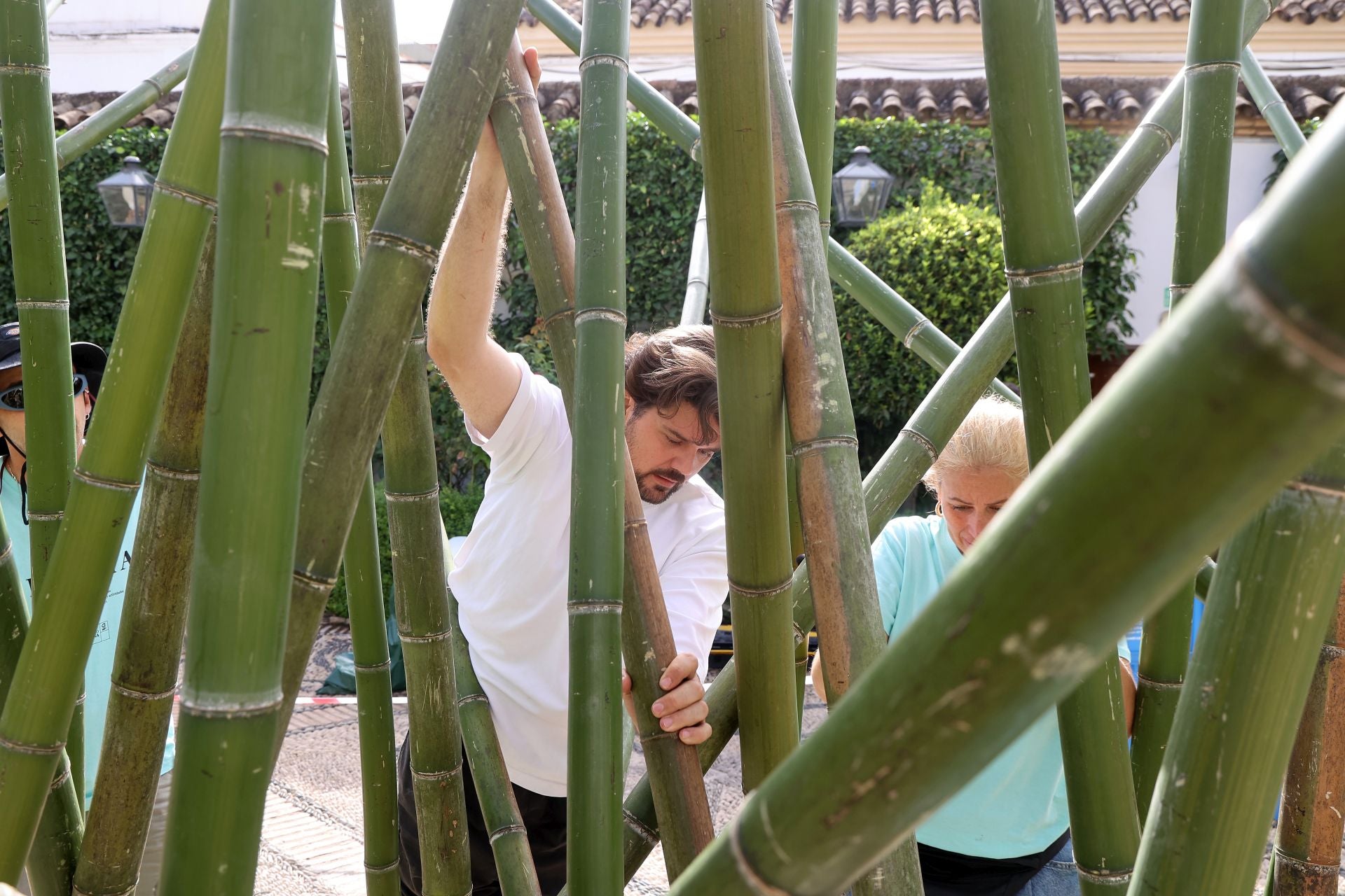 El arranque del montaje de Flora 2025, en imágenes