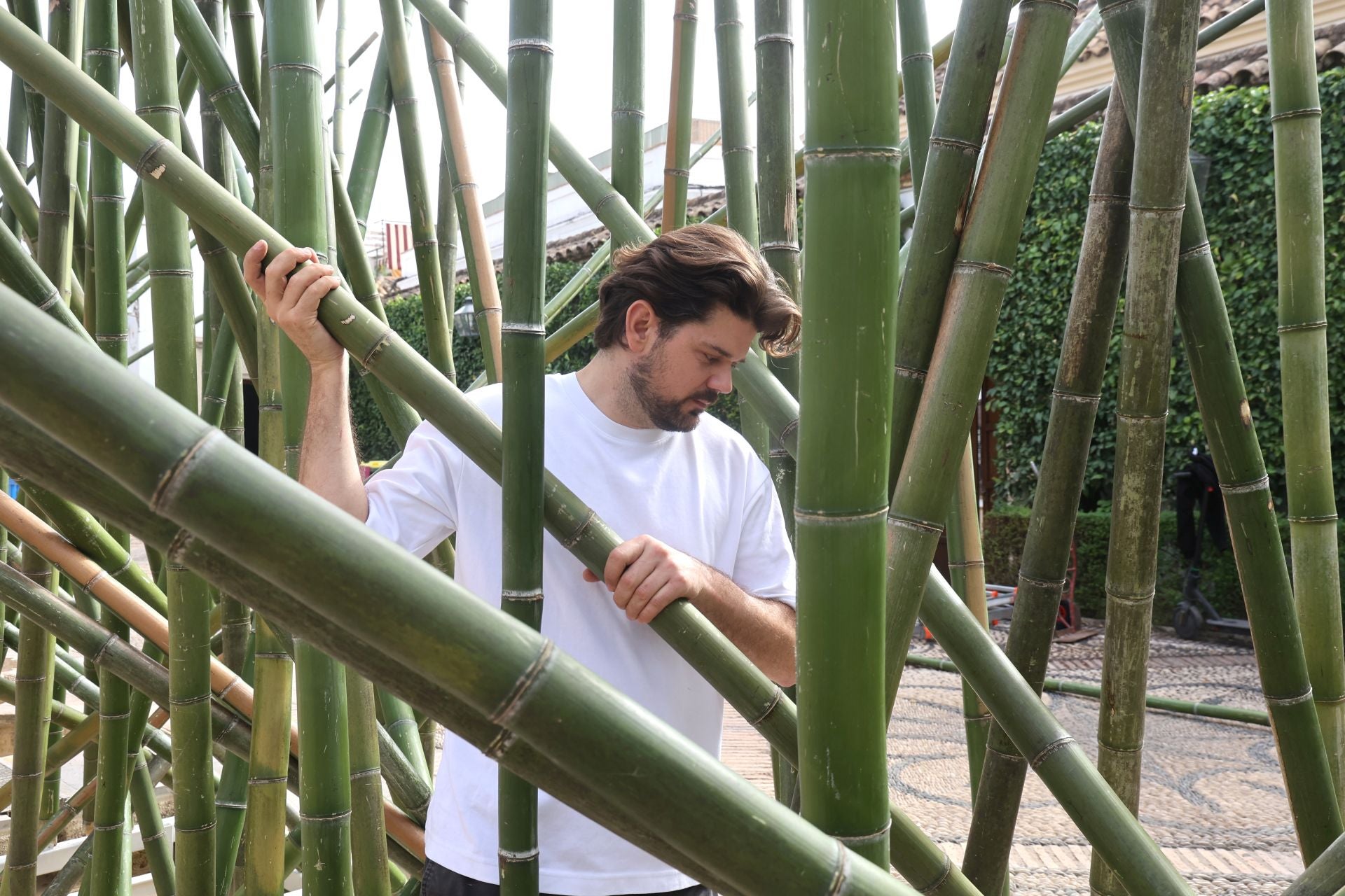 El arranque del montaje de Flora 2025, en imágenes