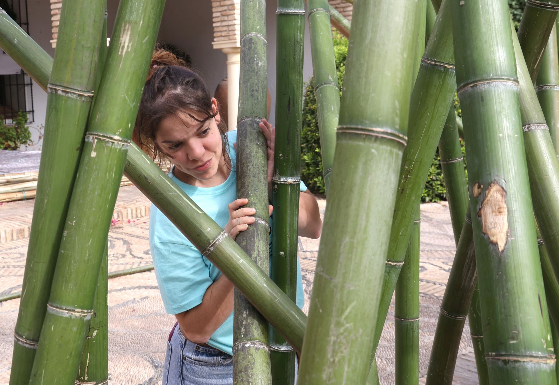 El arranque del montaje de Flora 2025, en imágenes