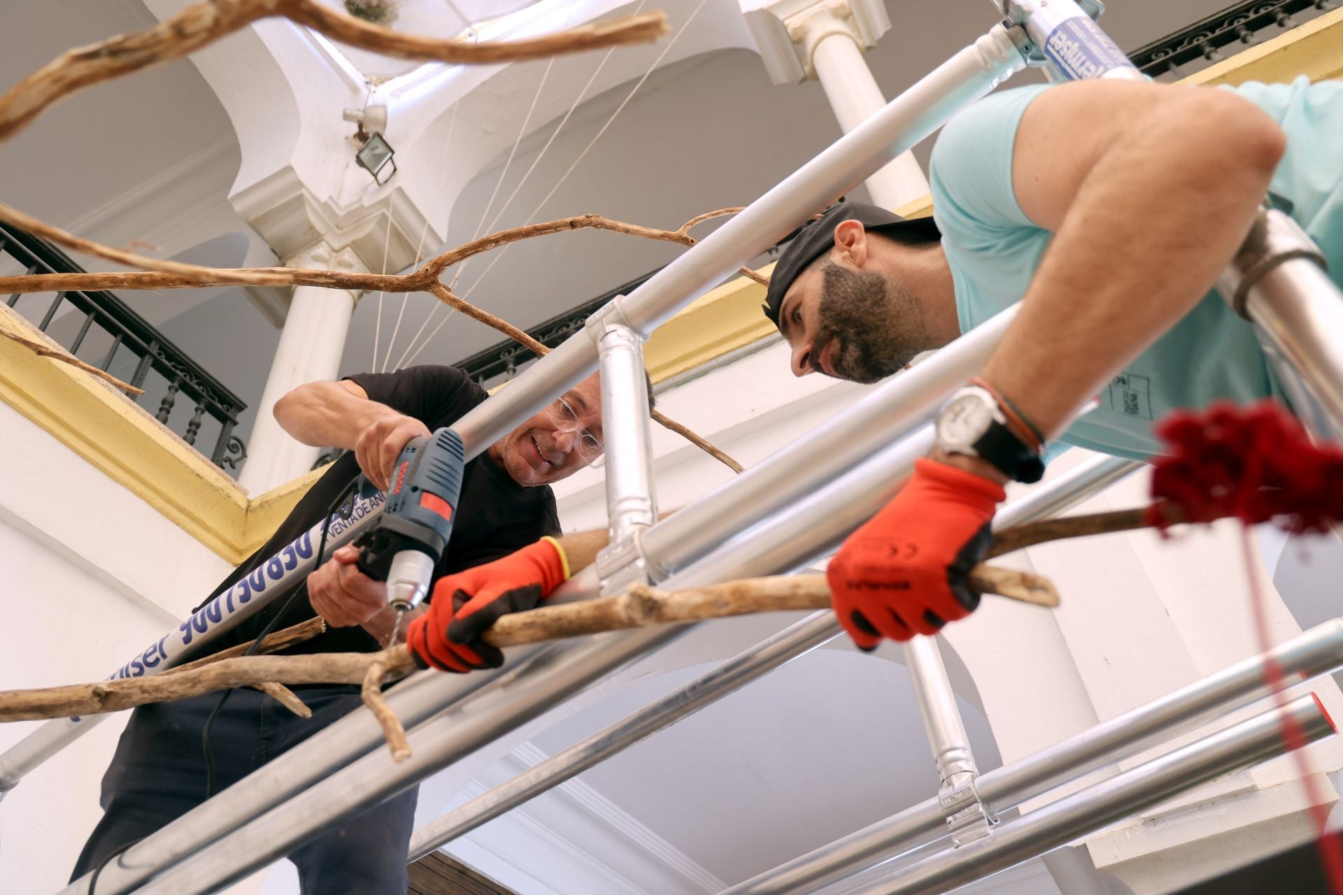 El arranque del montaje de Flora 2025, en imágenes