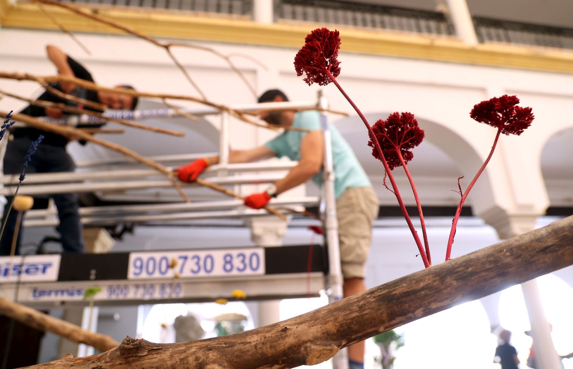 El arranque del montaje de Flora 2025, en imágenes