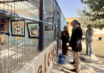Nuevo hogar, nuevas esperanzas: Talavera moderniza el centro municipal de acogida animal