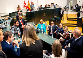 Más Madrid y PSOE fuerzan un Pleno con el que revocar el acuerdo Vox-PP sobre el síndrome posaborto