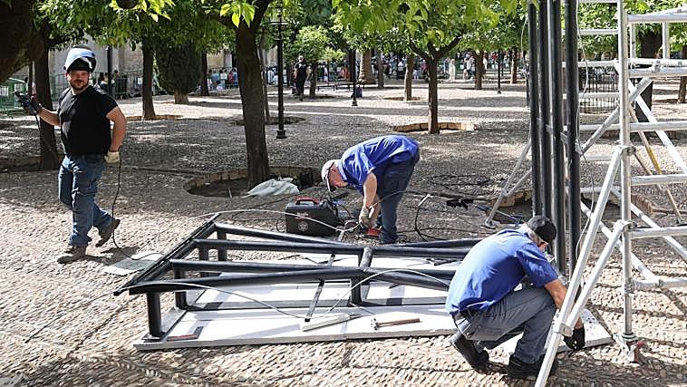 Germina el montaje de Flora: los patios de Córdoba se preparan para florecer