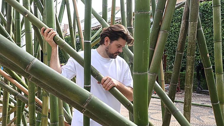 Germina el montaje de Flora: los patios de Córdoba se preparan para florecer