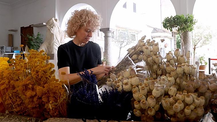 Germina el montaje de Flora: los patios de Córdoba se preparan para florecer