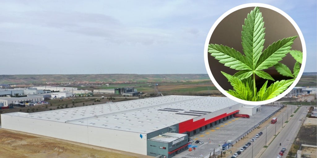 Despiden a un trabajador en Burgos por llevar una tarta de marihuana para celebrar su cumpleaños: dos compañeros acabaron intoxicados