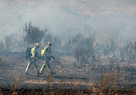 El operativo antiincendios será público en tres años