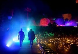 Abierta la lista de espera para la preventa de 'Naturaleza Encendida: Navegantes' en Córdoba