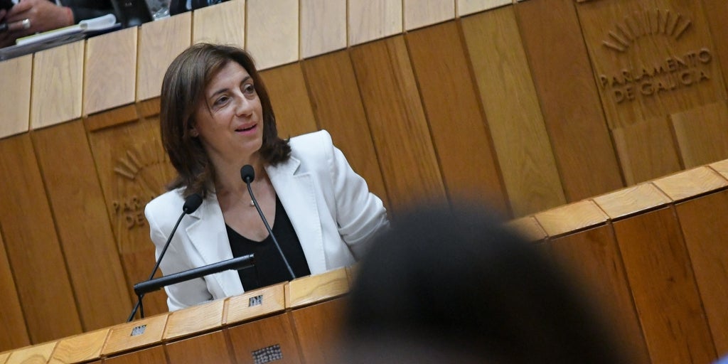 La neutralidad climática de Galicia en 2040 no encuentra consenso en el Parlamento