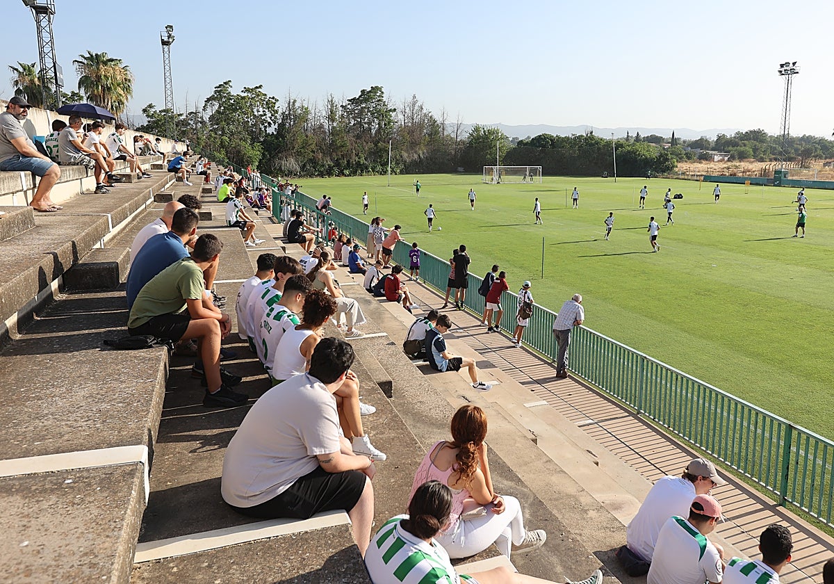 Aficionados blanquiverdes en la grada levantada sin licencia en la Ciudad Deportiva allá por el año 2000