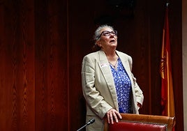 Carmen Pano ratifica en el Senado que realizó pagos de 90.000 euros en efectivo en la sede de Ferraz