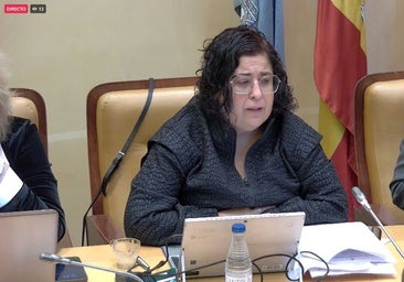 Dimite antes del Pleno la concejal de Hacienda de Segovia que administraba una empresa que construyó trasteros ilegales