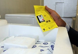 Las vacunas contra la gripe llegan ya al 70% de los niños de menos de cinco años en Andalucía