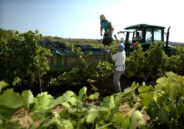 Castilla-La Mancha, tercera comunidad que más fondos recibe del anticipo de la PAC: 367,8 millones de euros