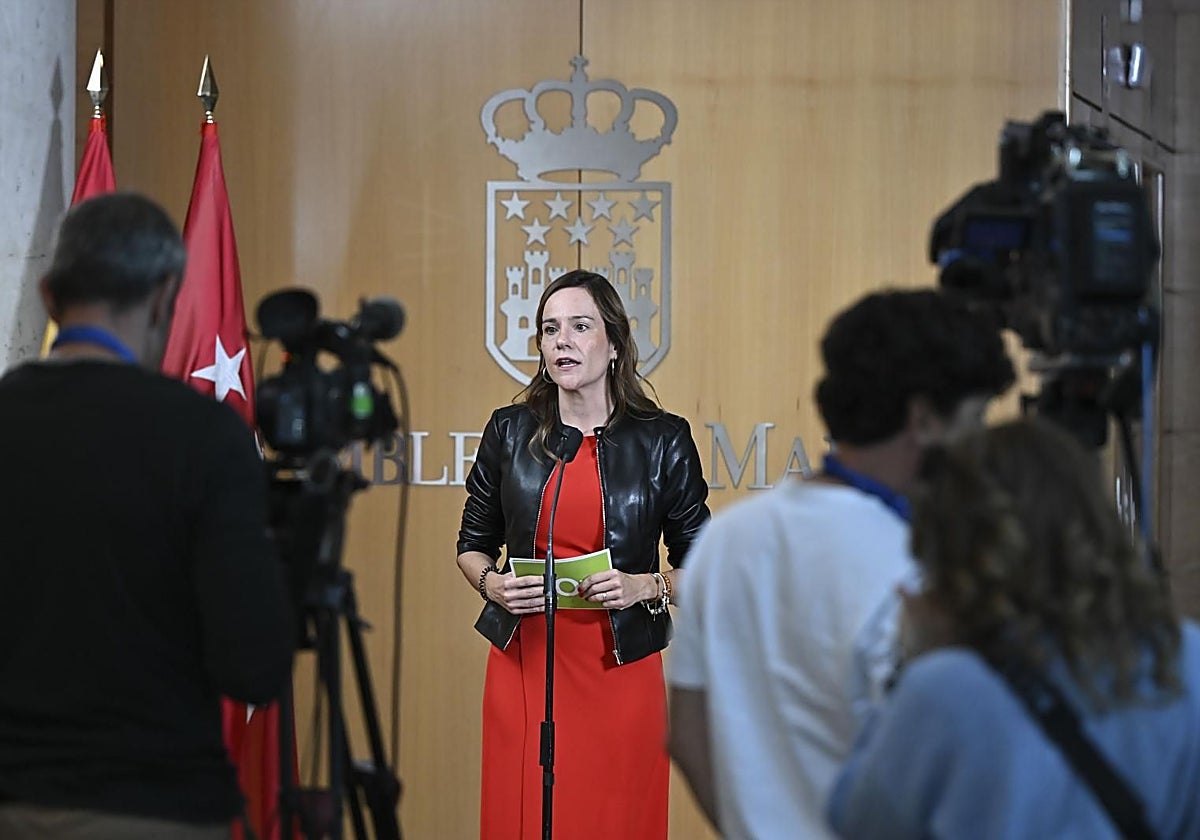 La portavoz de Vox en la Asamblea de Madrid, Isabel Pérez Moñino