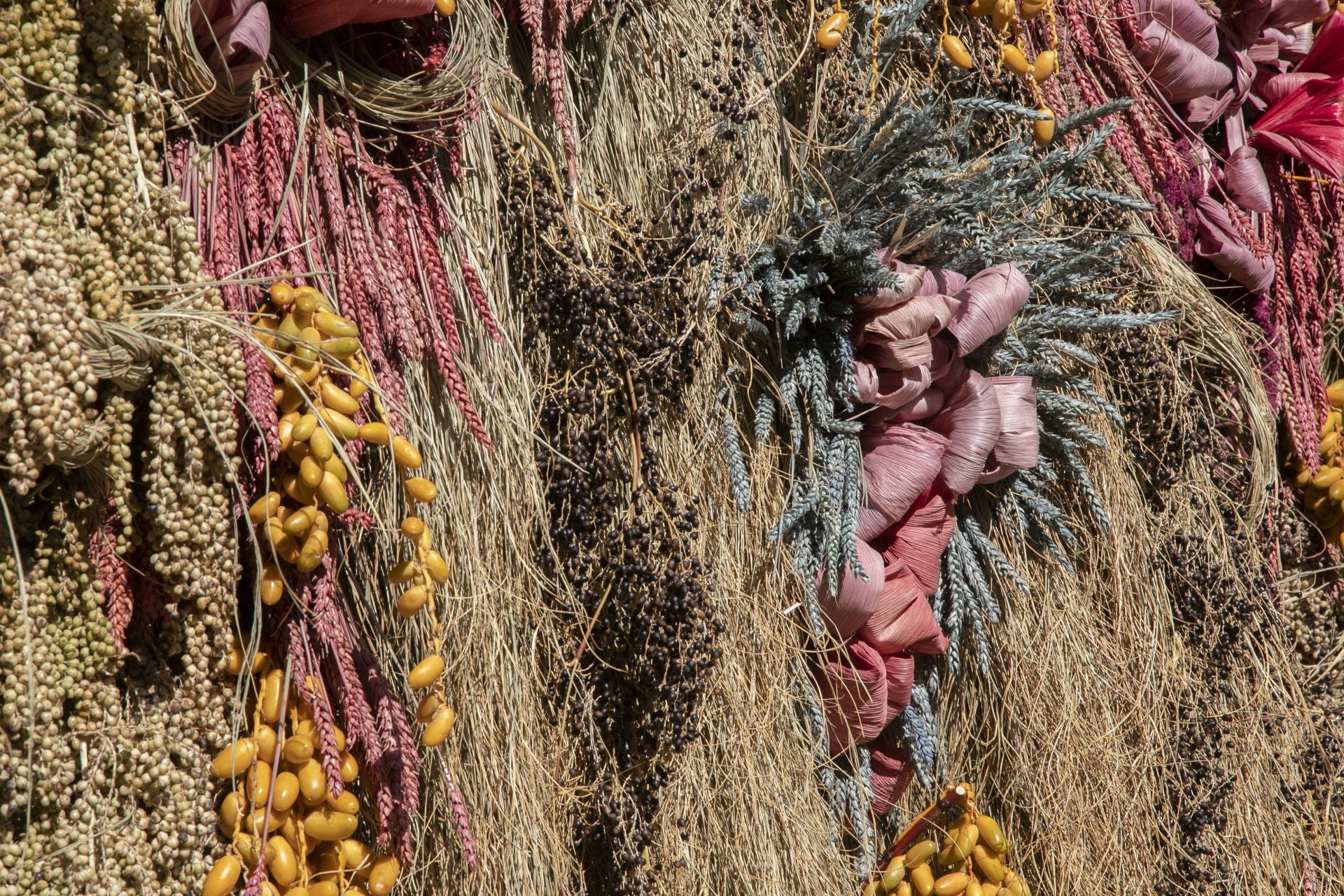 En imágenes, el concurrido arranque de Flora en Córdoba