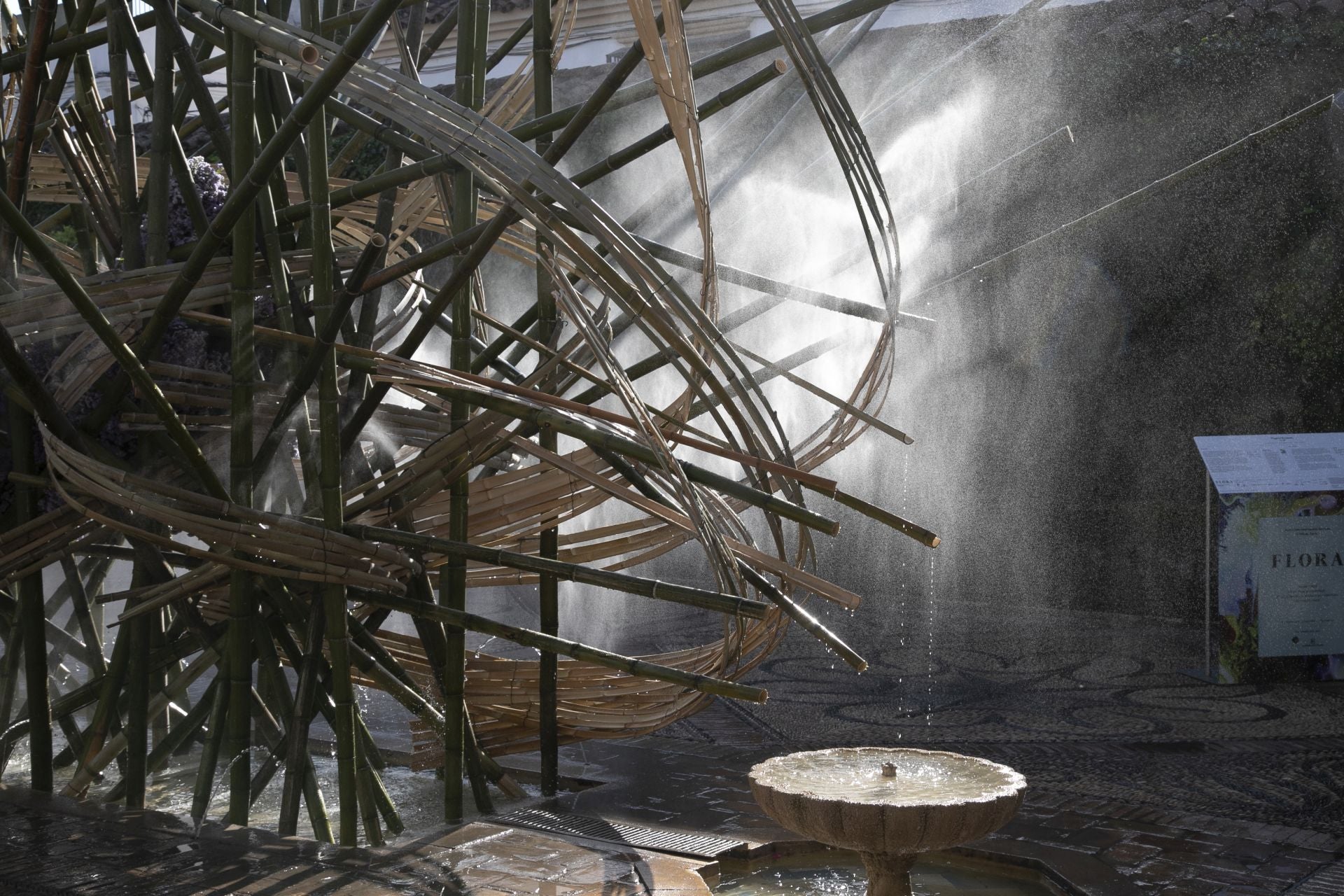 En imágenes, el concurrido arranque de Flora en Córdoba