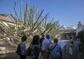 Colas y expectación en el estreno de Flora en Córdoba: «Año tras año no deja de sorprender»