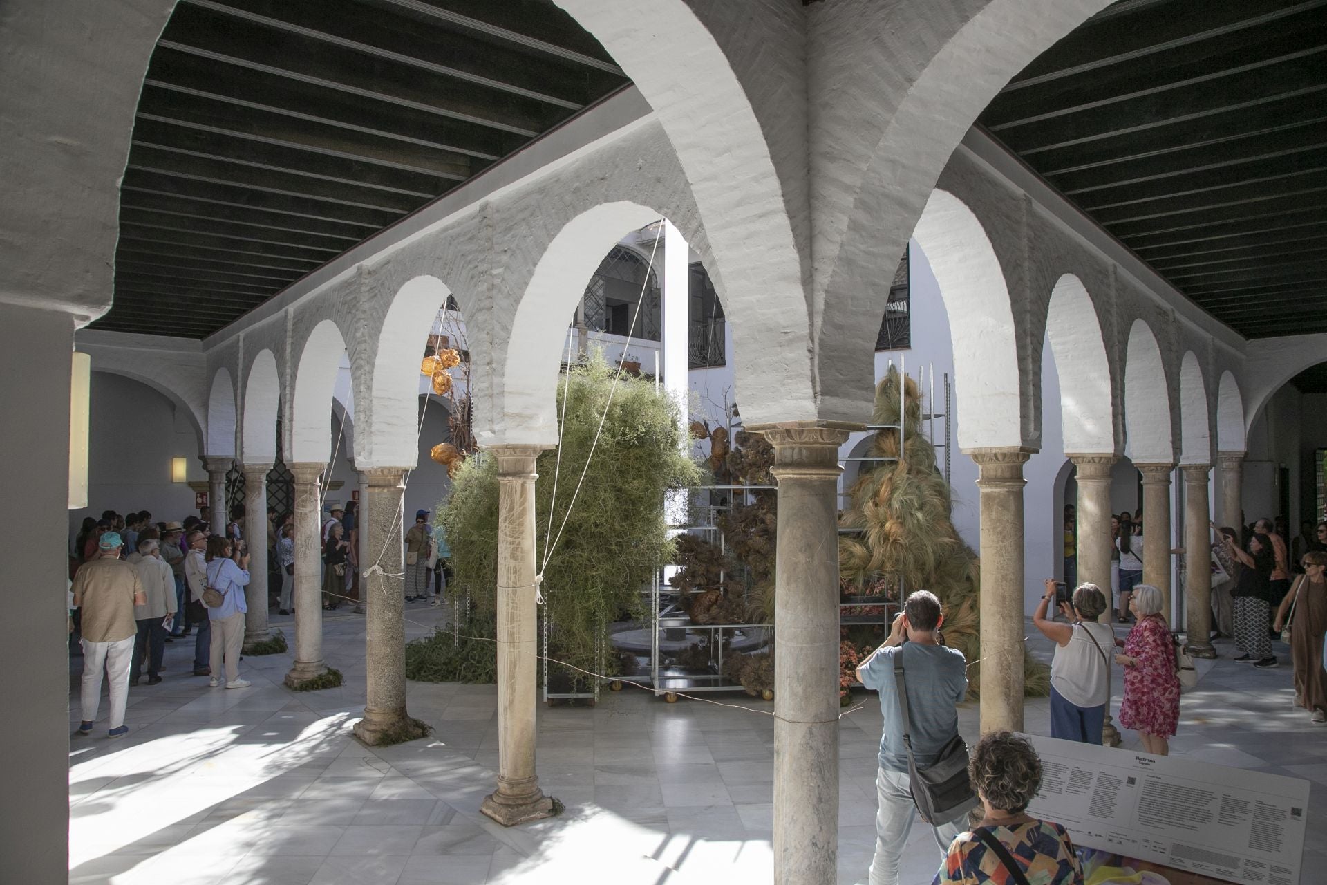 En imágenes, el concurrido arranque de Flora en Córdoba