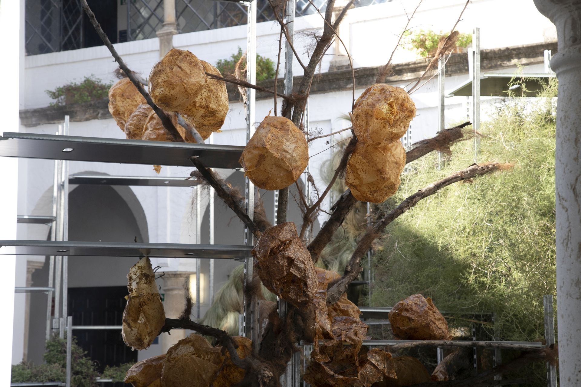 En imágenes, el concurrido arranque de Flora en Córdoba