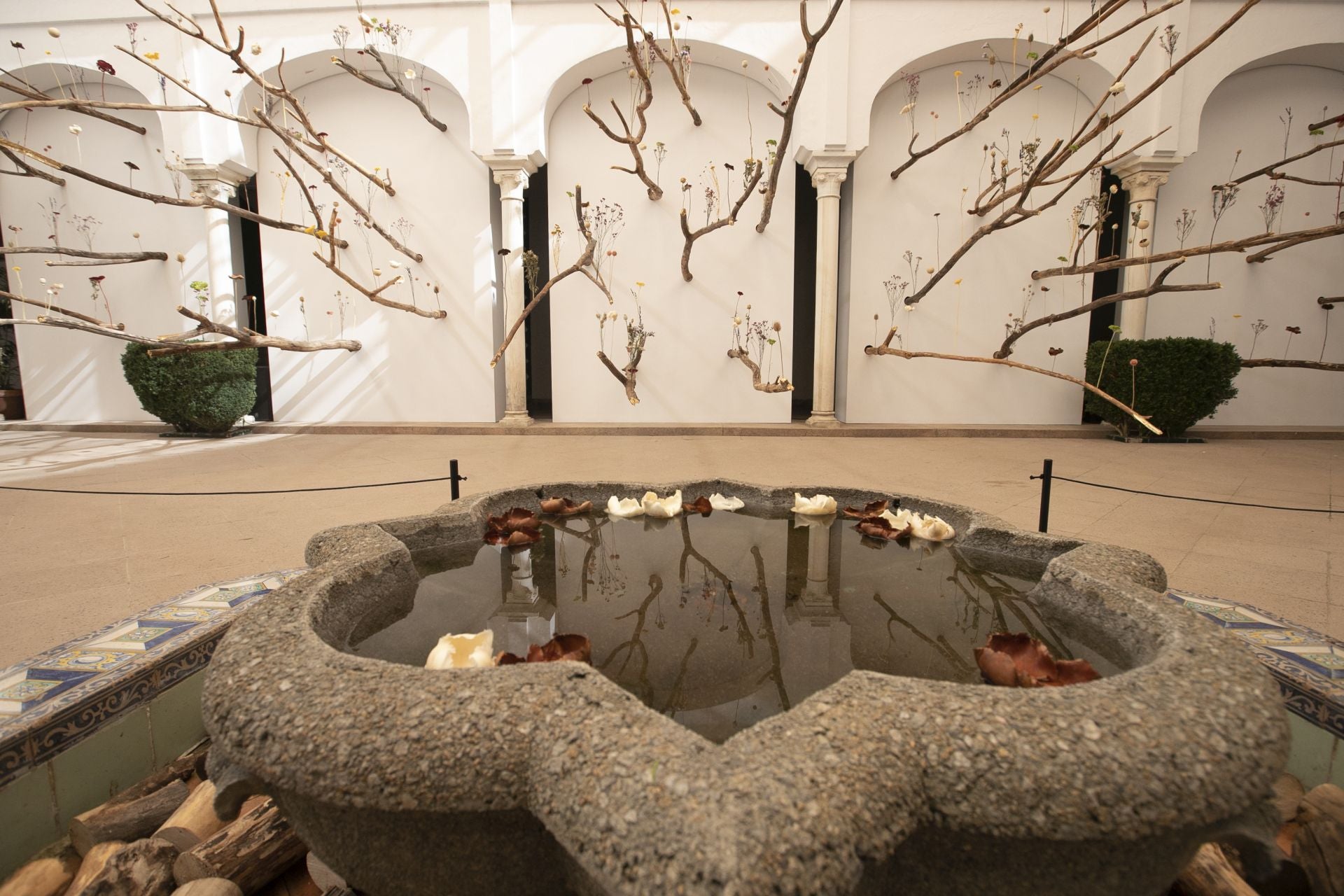 En imágenes, el concurrido arranque de Flora en Córdoba