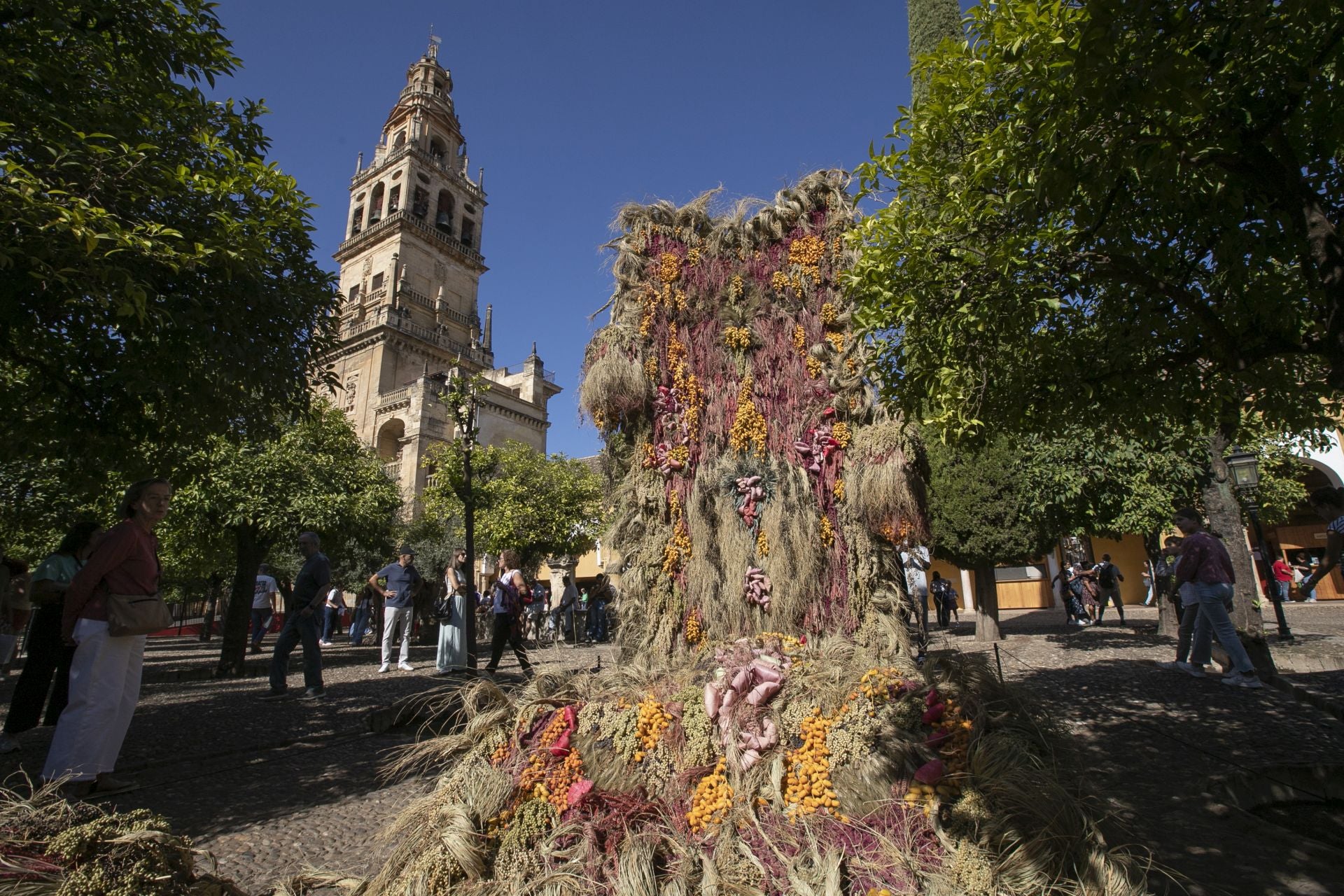 En imágenes, el concurrido arranque de Flora en Córdoba