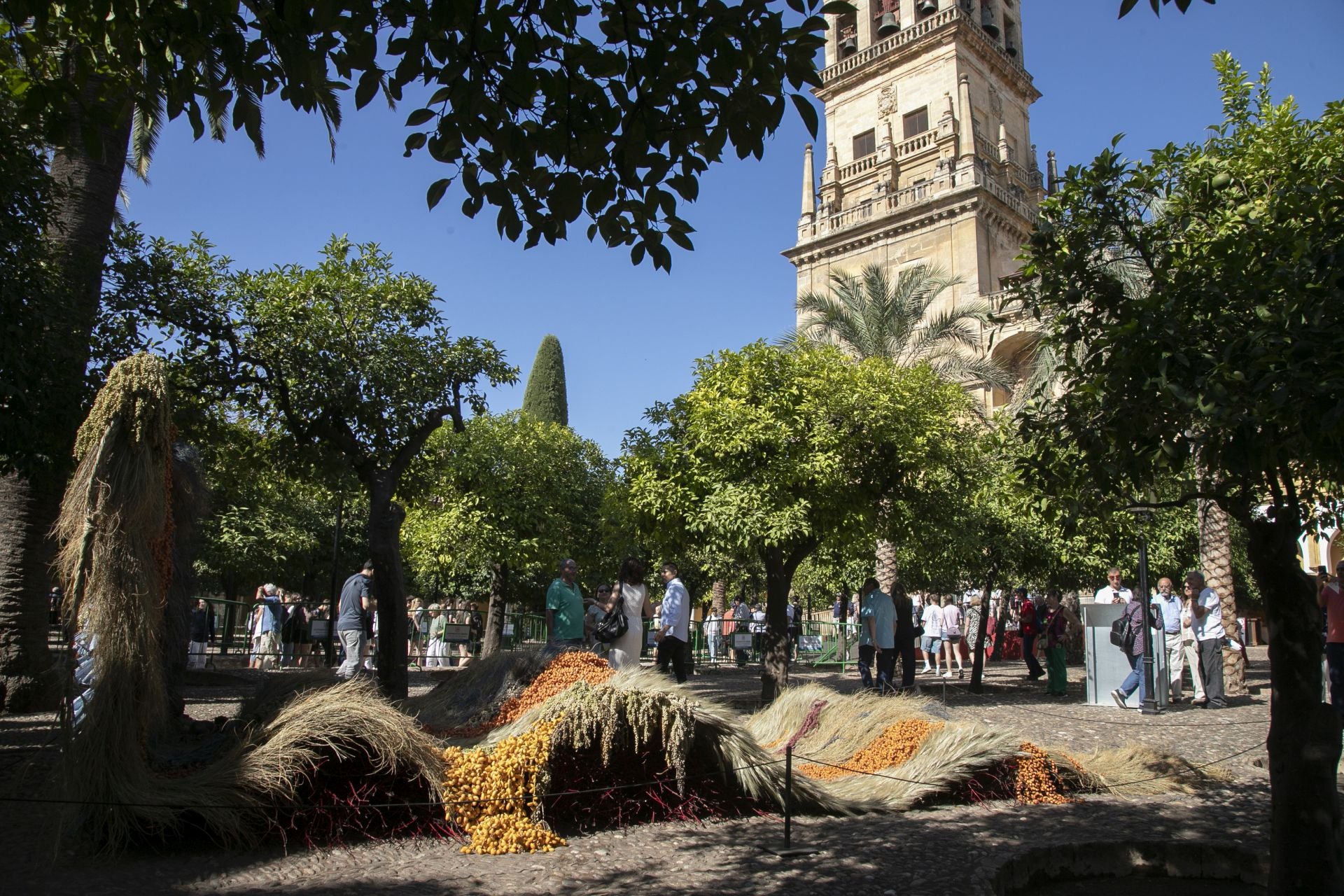 En imágenes, el concurrido arranque de Flora en Córdoba