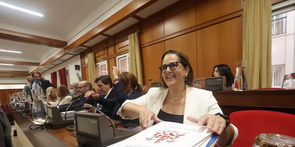 El Ayuntamiento de Córdoba aprueba un presupuesto consolidado para 2026 ...