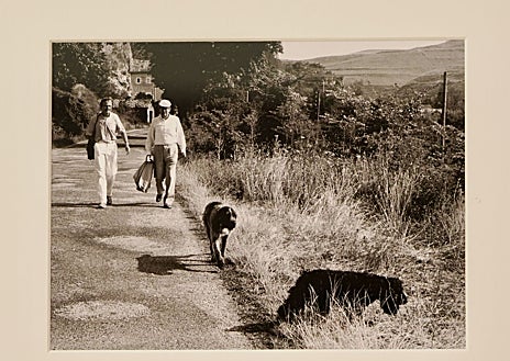 Imagen secundaria 1 - Fotografías familiares y con amigos del escritor que se pueden ver en el espacio 'El escritor y la naturaleza'