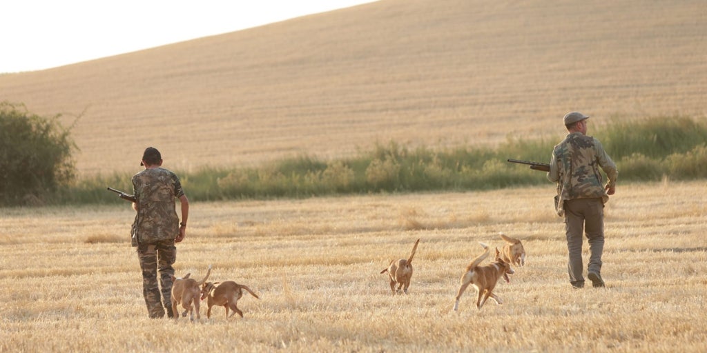 Ecologistas en Acción critica la tramitación exprés del Reglamento de Caza y pide su retirada para que sea objeto «de un debate plural»